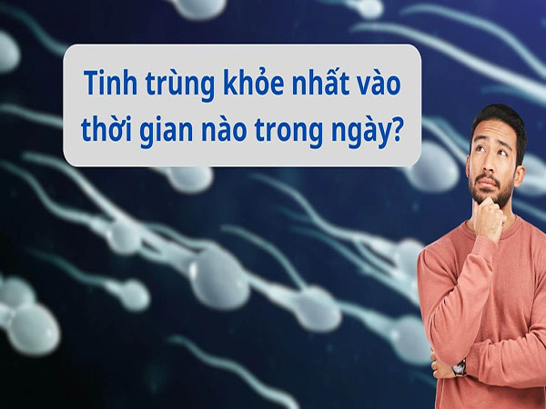 Tinh trùng mạnh nhất khi nào?
