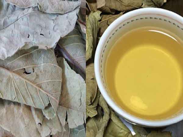 Cách nấu nước lá ổi tốt cho sức khỏe rất đơn giản