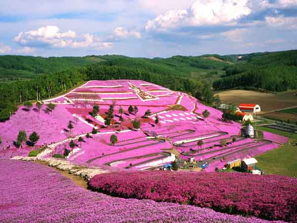 Những địa điểm nổi bật khi du lịch Hokkaido mùa hè